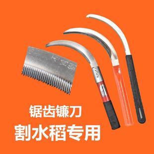 Sharp Stainless Steel Serrated Sickle for Cutting Rice, Agricultural Grass Cutting Knife, Small Saw Sickle for Cutting Leeks, Special for Cutting Millet