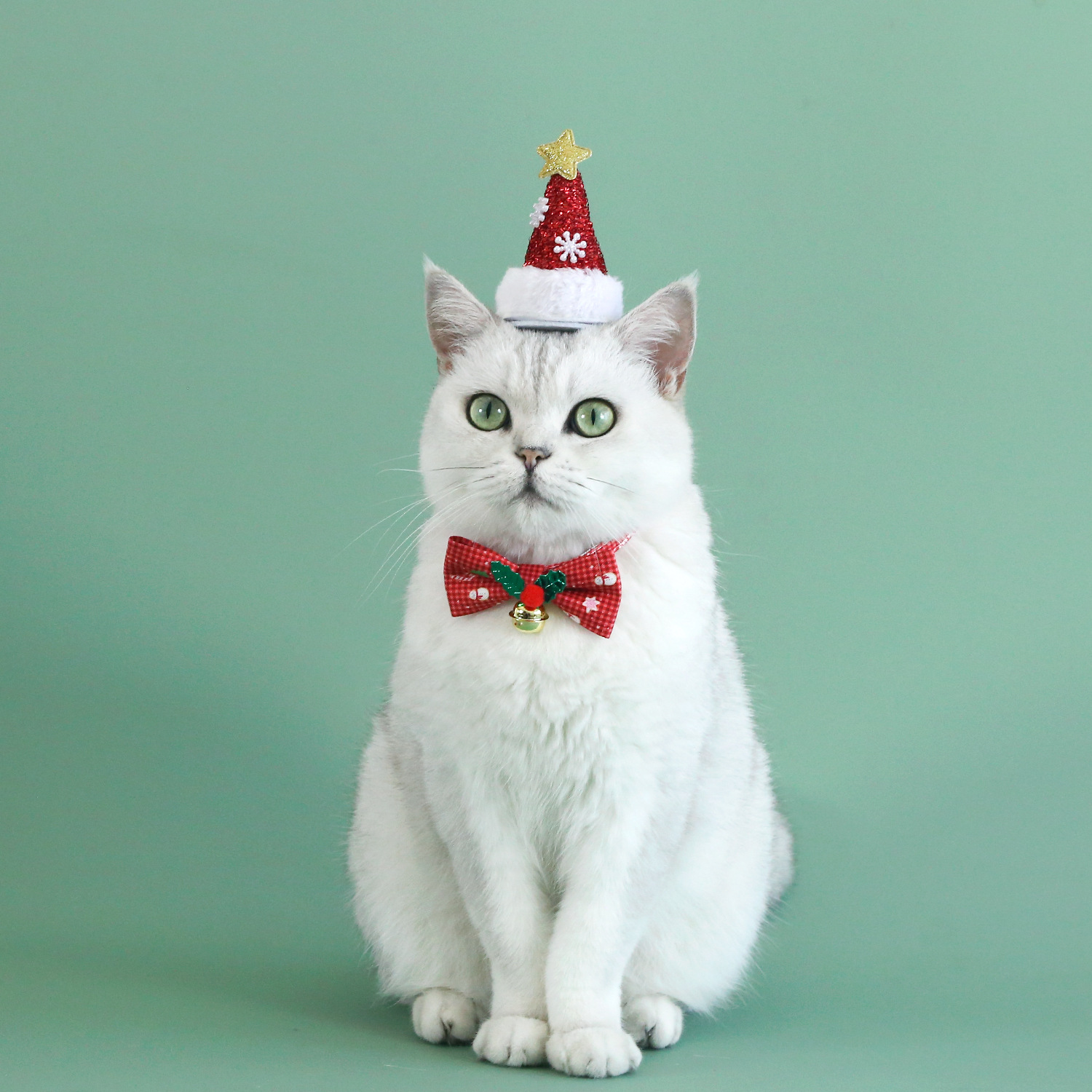 Sombrero de Navidad pet sequilla pet
