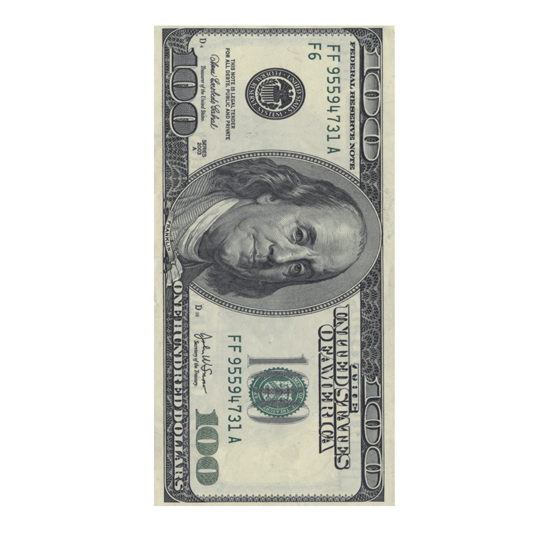 23 아메리카의 돈 (테리 천 단면 인쇄)