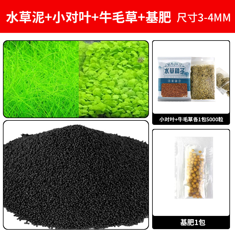 무료 소털풀 + 작은 잎 한 쌍 [각 5000개] + 기본 비료