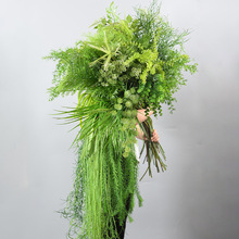 �Gɫϵ���滨ɭϵ��Y�û��Ļ�c�廨�������õ��żٻ����Gֲ�~��