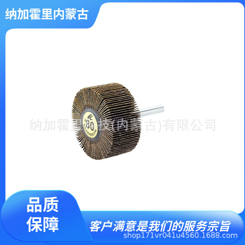 ICHIGUCHI 市口 百叶轮磨砂轮 AF3025-100 AF3025-120 AF3025-150