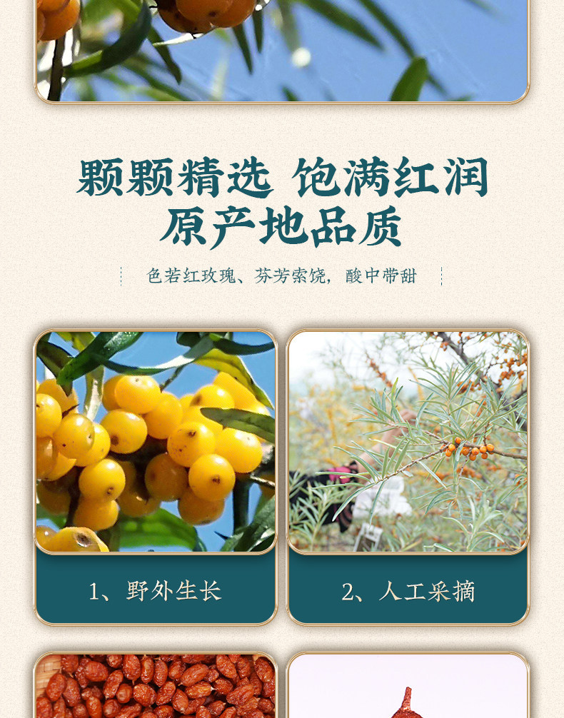 Sea Buckthorn Fruit Sha Ji 250g Dried Berries with Red Date Slices for Tea and Infusions quality and texture