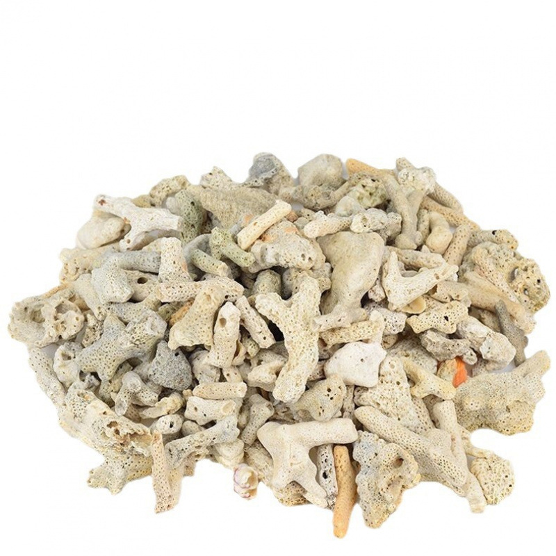 Coral aquarium, big cigarette holder