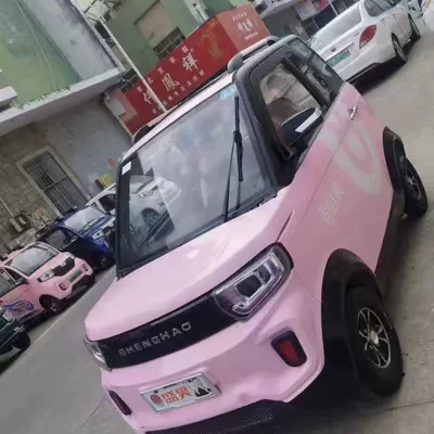 Avtomobil boya qələmləri — European wind blue self-painting electric - sakura-pink-send-actual-car-pictures-to-customer-service