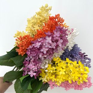 �S�����lܛ�z������滨��Y�zӰ�[���������ý����Ҿ��b�������
