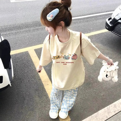 奶呼呼纯棉短袖t恤女夏2025新款设计感小众宽松慵懒风半袖上衣潮