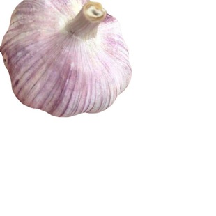 Чеснок с низким уровнем кости Шаньдун Джинсин -фиолетовый белая кожа, сухой чесночный чеснок чеснока, фунт котлевого оптового и оптового производителя прямые продажи