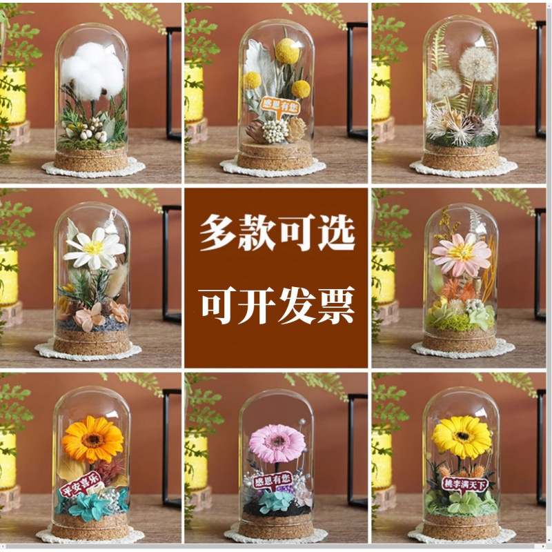 Flor inmortal DiDi material paquete de flores secas cubierta de vidrio adornos hechos a mano salón grupo de construcción del día de la madre regalo del día del niño