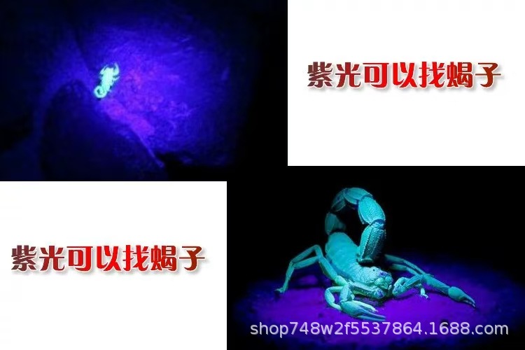 Identification Flashlight for Jade, Three Light Sources, Strong Light, Tobacco and Alcohol Identification, 365Nm Banknote Inspection, Purple Light, Ultraviolet Light
