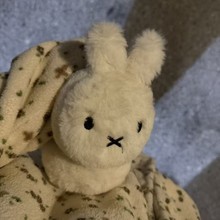 ���ֵ��ͨ���ñ�ů���ֶ������s�ٴ��������ë�q���׌W��������