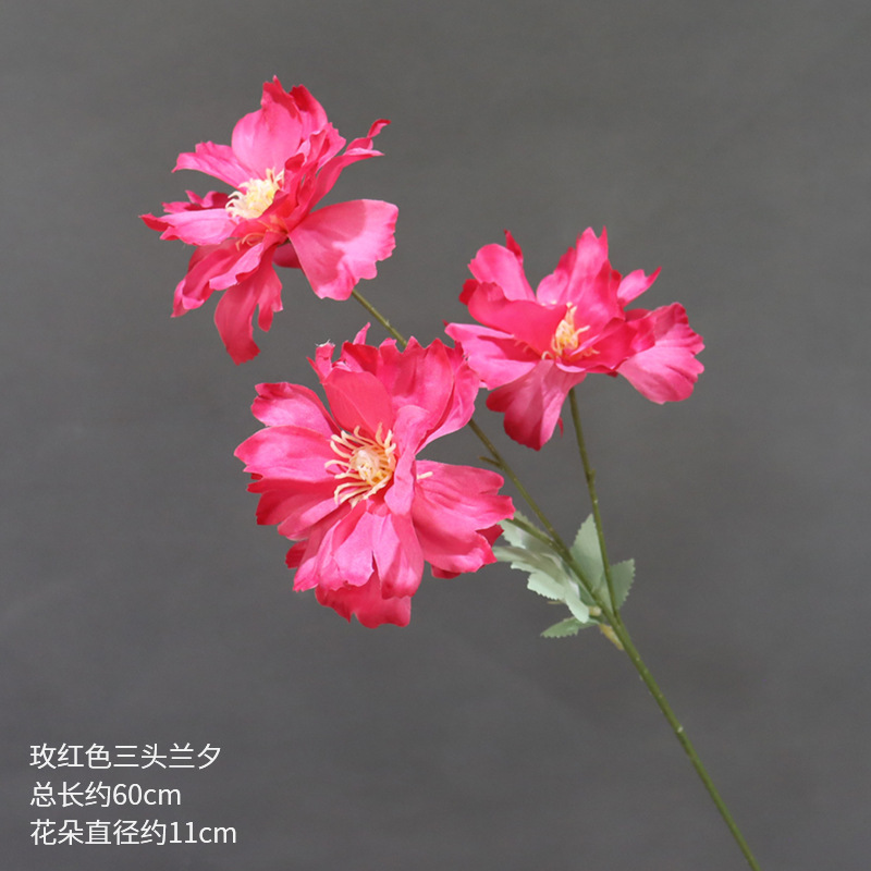 Rosa roja de tres cabezas