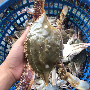 ���rз�ӻ������з�r���������з�������з�wз��з����10��