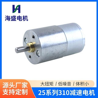 310微型直流减速电机除螨仪微型马达按摩器小型电器电机支持定制