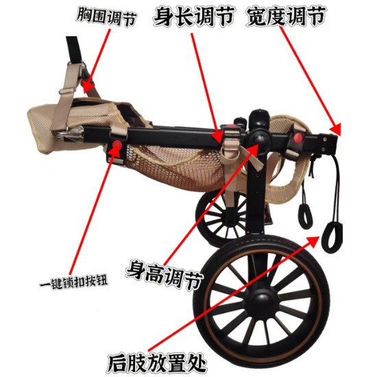 Silla de ruedas para perros, silla de ruedas para mascotas, piernas traseras, entrenamiento para perros discapacitados, perros mayores, perros de tamaño mediano, perros auxiliares para mascotas