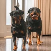 ���l���Ƶ�ϵ�_���{�o�lȮ���w���ﹷ�����ͷ���Ȯ�o�lȮ܊��Ȯ