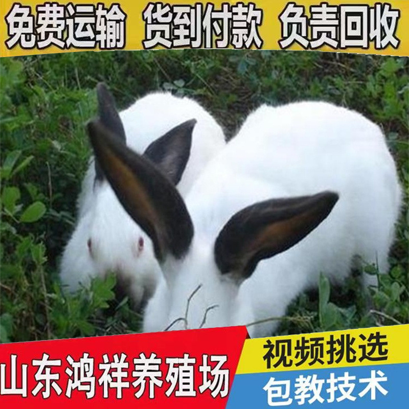 63f6cc020b414e948c62a78ef0c8d9