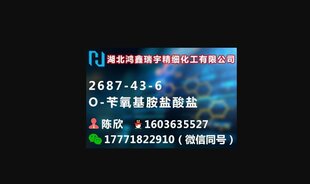 7-(3-�ȱ�����)-4-[(2,4-����-5-����������)����]-6-������-3-��