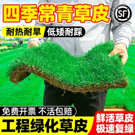 盆栽;园林果树;灌木