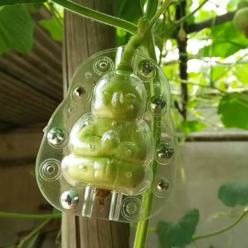 5cm small Buddha Wenchuan play gourd mold human fruit mold fruit fruit Buddha mold melon mold human fruit mold