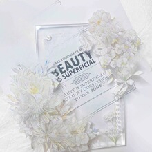 pet�z��ؐ������b�{�וһ��ɚ�����������������D�����N��