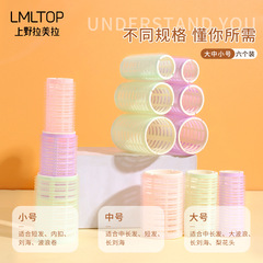 Ueno Lameira Self-Adhesive Curling Iron Curling Tool with Magic Tape Curling Cage, 6-Pack C201