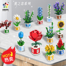 ԣ�ο羳ƴ�b��΢�ʯС�w���eľ��������滨��Ů���YƷ�������