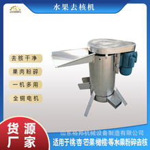 核肉分离去果核机 水果大产能脱核机 西梅人心果芒果商用去核机