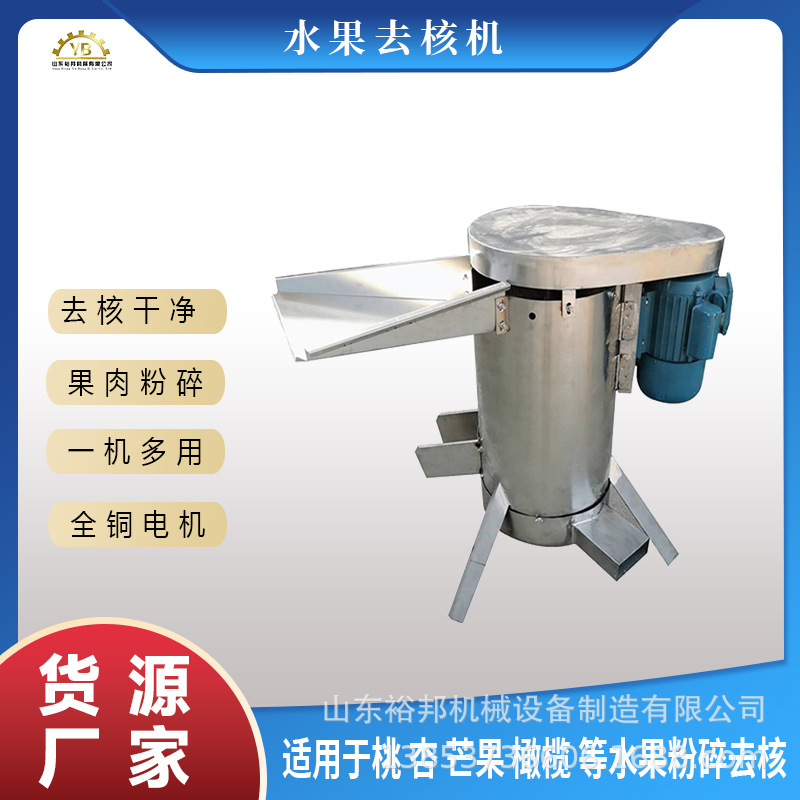 核肉分离去果核机 水果大产能脱核机 西梅人心果芒果商用去核机