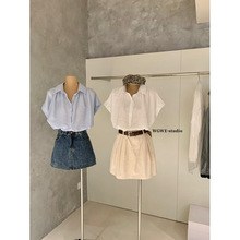 ʩ��WGWE8448�����¿���ӯ͸������POLO����Ž���ͷ�ٴ�������