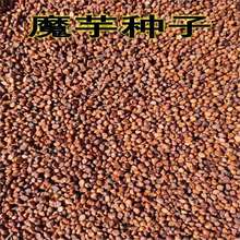 ߳ɻħNѸ߮aһNÓˮħNļNֲ