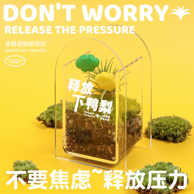 Graffiti Creation Moss Micro Landscape Air Pineapple Office Green Plant Desktop Potted Plant Birthday Gift