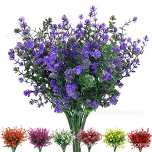 7���ȼ����軨���ϻ�����ٻ��Gֲ�G�����̻�c�b�c�Ҿӷ���