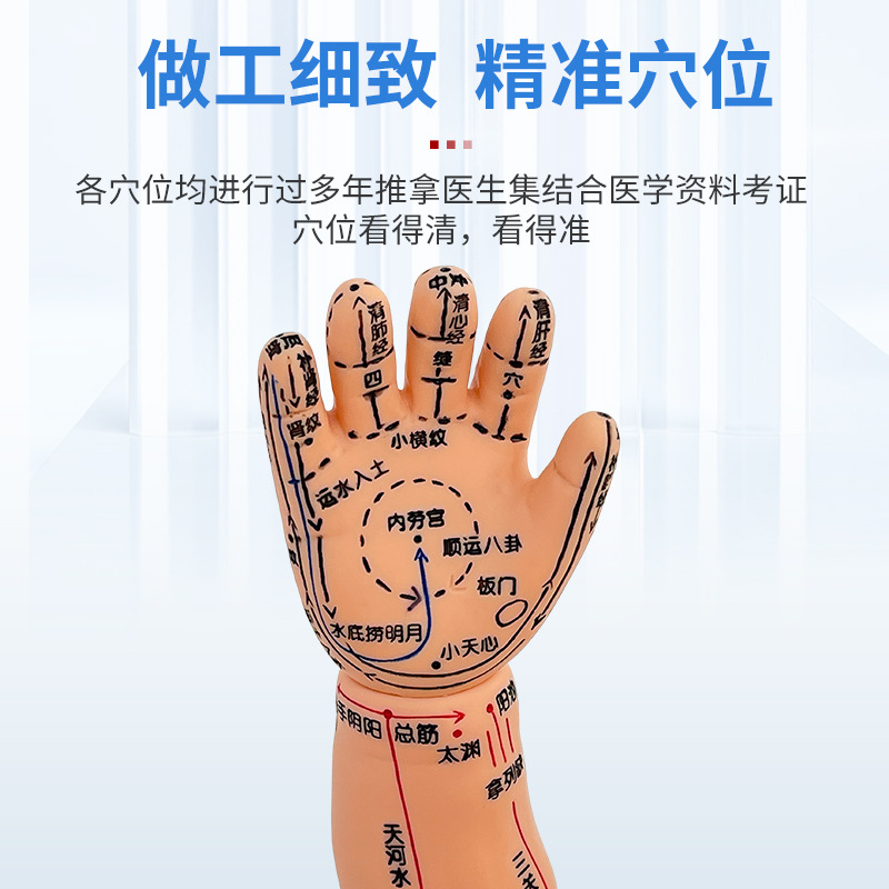 ȫ��Ѩλ���޾���ͼ��Ħ����ҽС�����ý�ѧ������ɩ��ѵ����ģ��