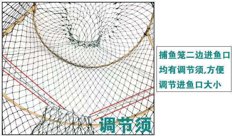 becfee1c-0d94-4339-b127-d68ce3888589.jpe