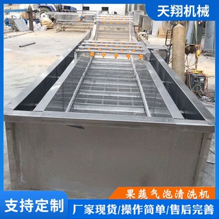 木耳清洗机 中药材气泡清洗机 全自动洗药机 不锈钢果蔬清洗机