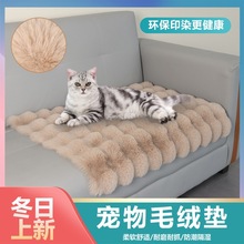 ���ݽq����|؈�C��ů���C�|С����ů�|���ļ���ů؈�乷���؉|