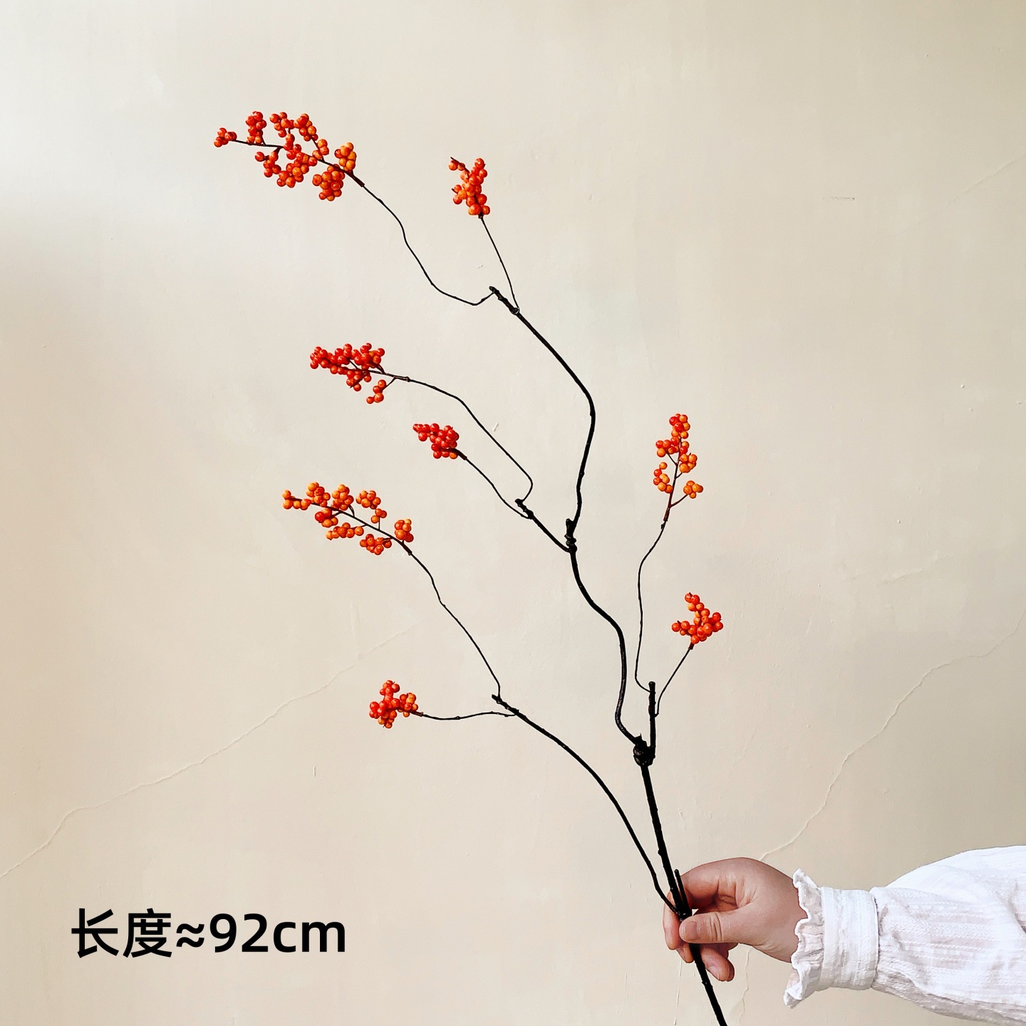 긴 가지에 오렌지색 열매가 가득 달려 있습니다.