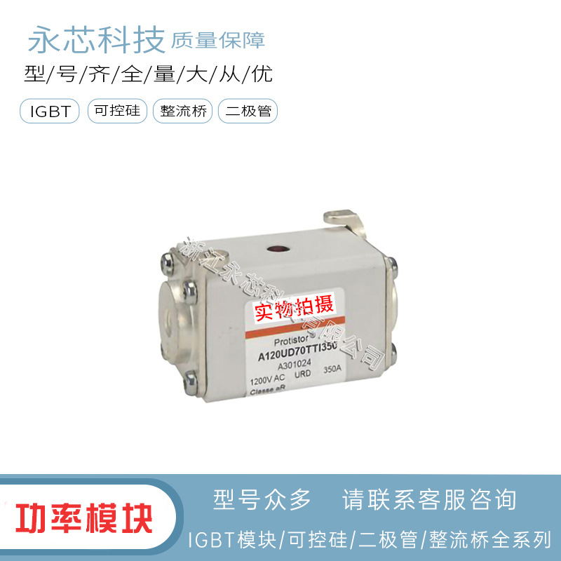 原装进口A120UD70LI350	E300660全新双连体熔断器保险丝现货供应