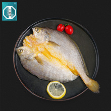 �����خa���S�~������S���~�Y���S���~���ˮ�a֧�ֶ���