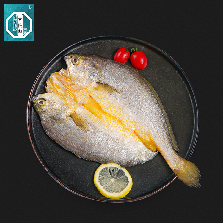 宁德特产大黄鱼鲞深海大黄花鱼礼盒黄瓜鱼冷冻水产支持定制