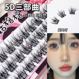 Ģ�����5D�������ٽ�ë���z���w��yҰ���Іδؾ��N����������