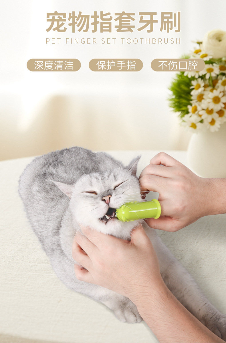 宠物指套牙刷1.jpg