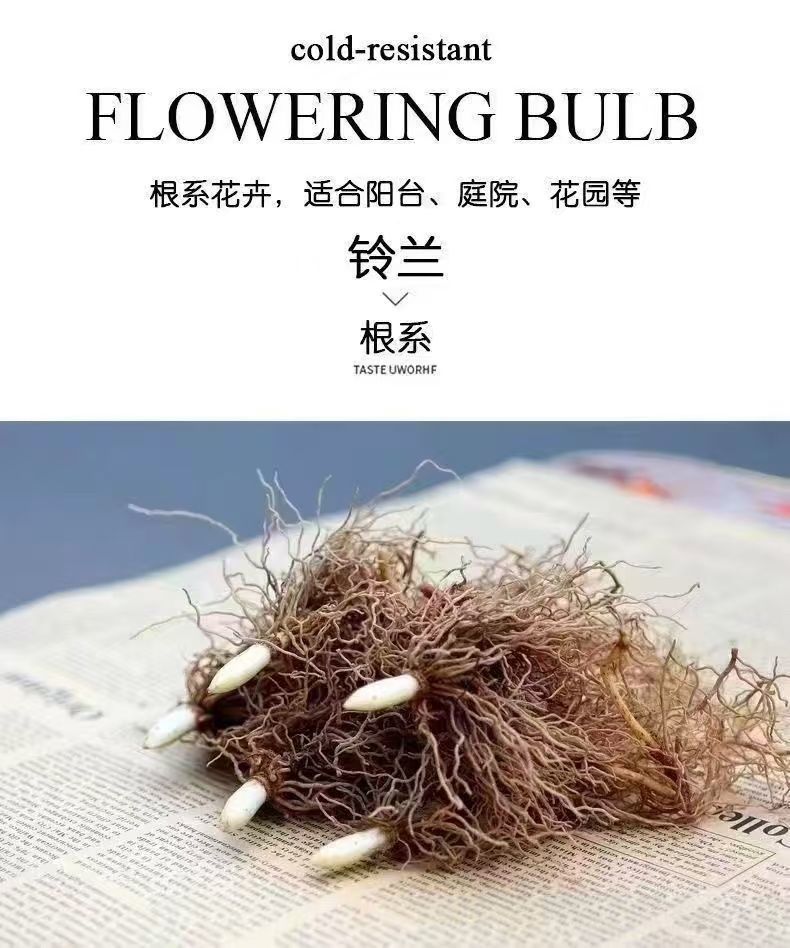 f9ee55f6-9868-43fc-82c8-c760f479882a.jpe