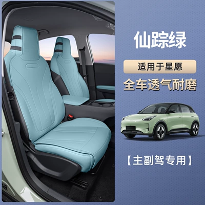 Seat cushion, seat cover: Four-Season Universal Seat Covers, Car - star-wish-wizard-green-two-seats-for-driver-and-passenger