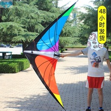 Outdoor Sport For Adults Power Stunt Kite Dual Line 1.8/2.4m