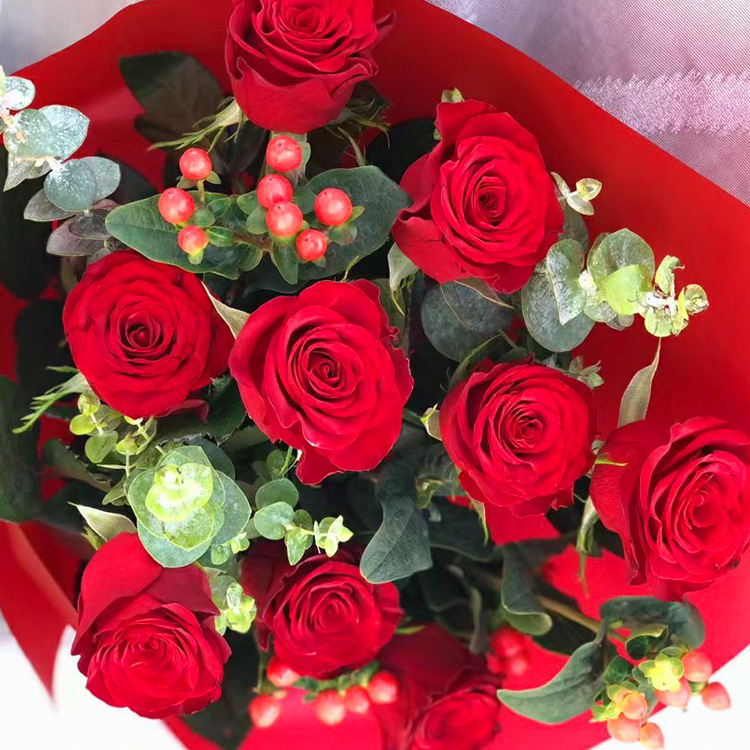 云之萌萌果云南新鲜鲜花520表白礼物玫瑰花 情人节玫瑰花红色玫瑰