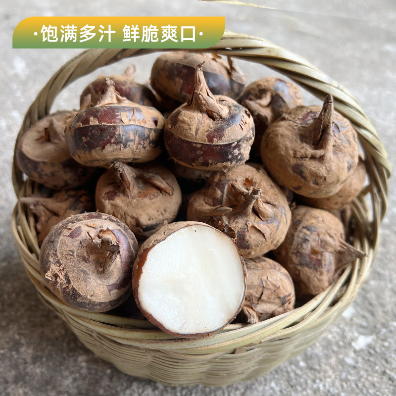 Guangxi Lipu Quick-Frozen Diced Water Chestnuts for Catering and Dessert Shops, Original Diced Water Chestnuts for Commercial Use, Raw Materials for Fruits and Vegetables
