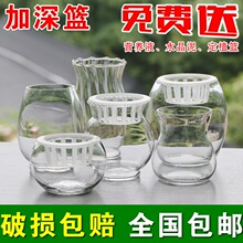 ˮ��ֲ�ﲣ�����B�~�׾G�}�����k������Ӻ��̖�~��͸������ƿ