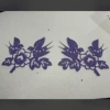 Double-flying A+B model (purple)